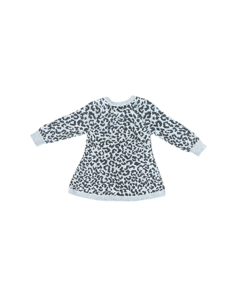 2-Piece Leopard Print Dress Set